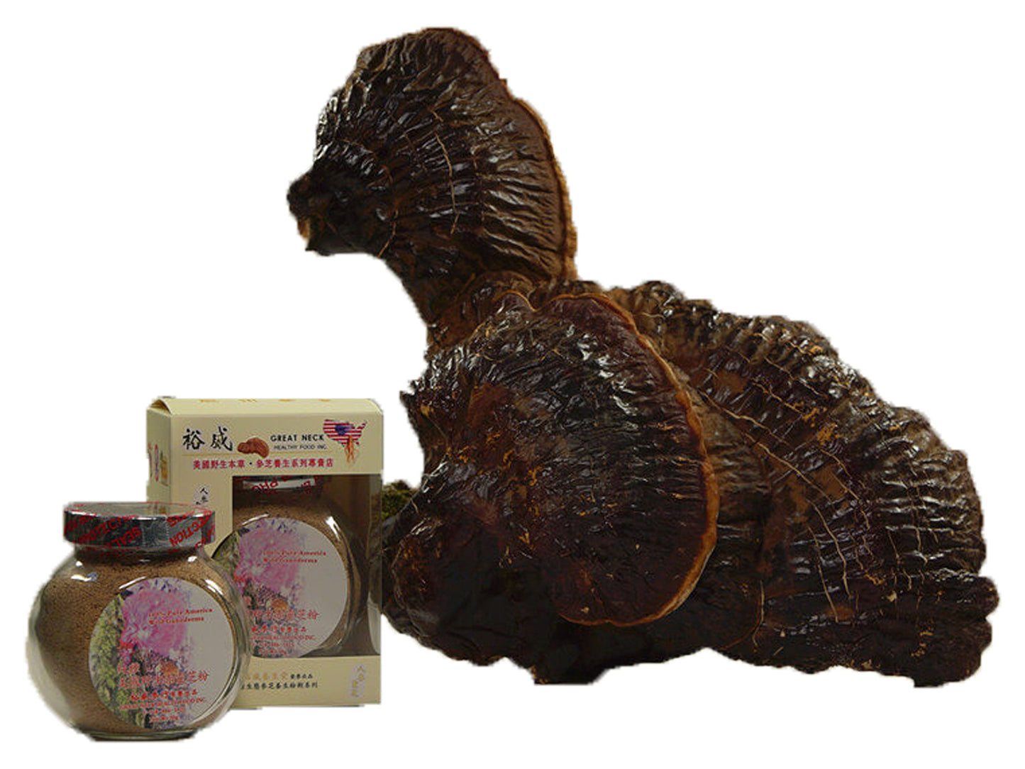 GREAT NECK HEALTHY FOOD INC. Wild American Ganoderma Lucidum Powder, 1.05 oz