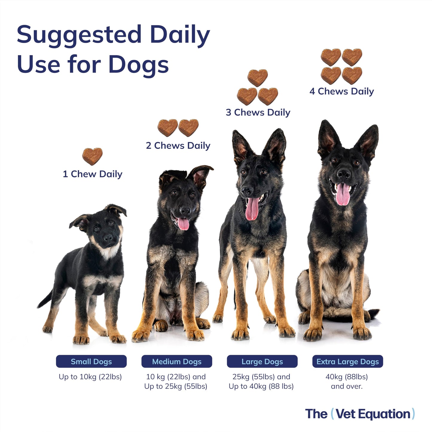 The Vet Equation Omega Multifunctional for Dogs Duck-Flavored Soft Chew 1