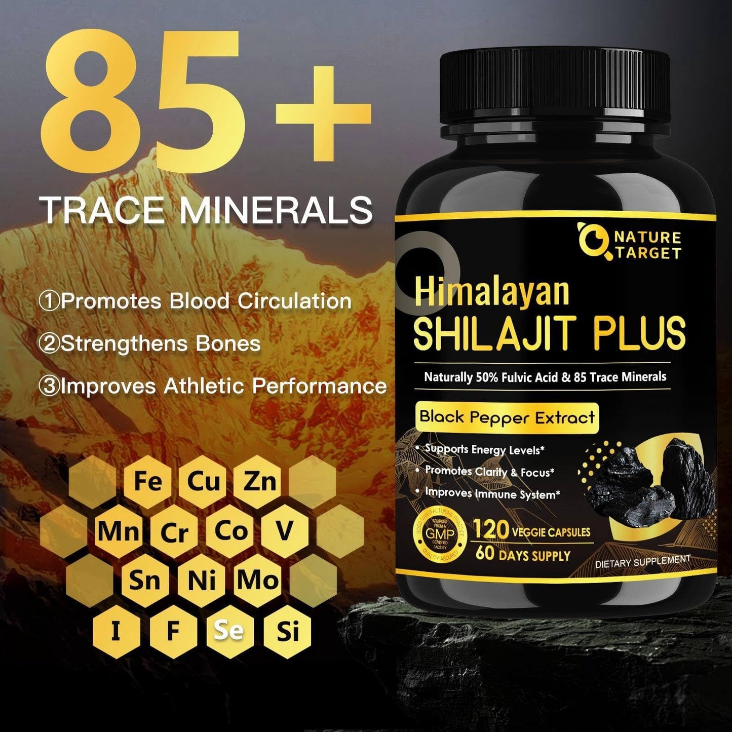 NATURE TARGET Shilajit Capsule 120 Capsules