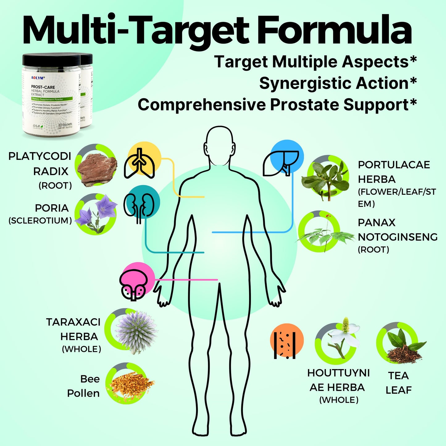 AOLYM Prost-Care Multi Target Natural Herbal Formula Powder 7.2