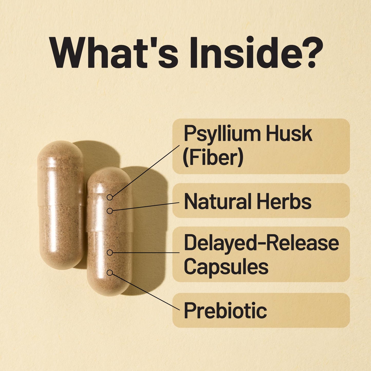 NatureWise Total Colon Care Fiber Cleanse 60 Capsules