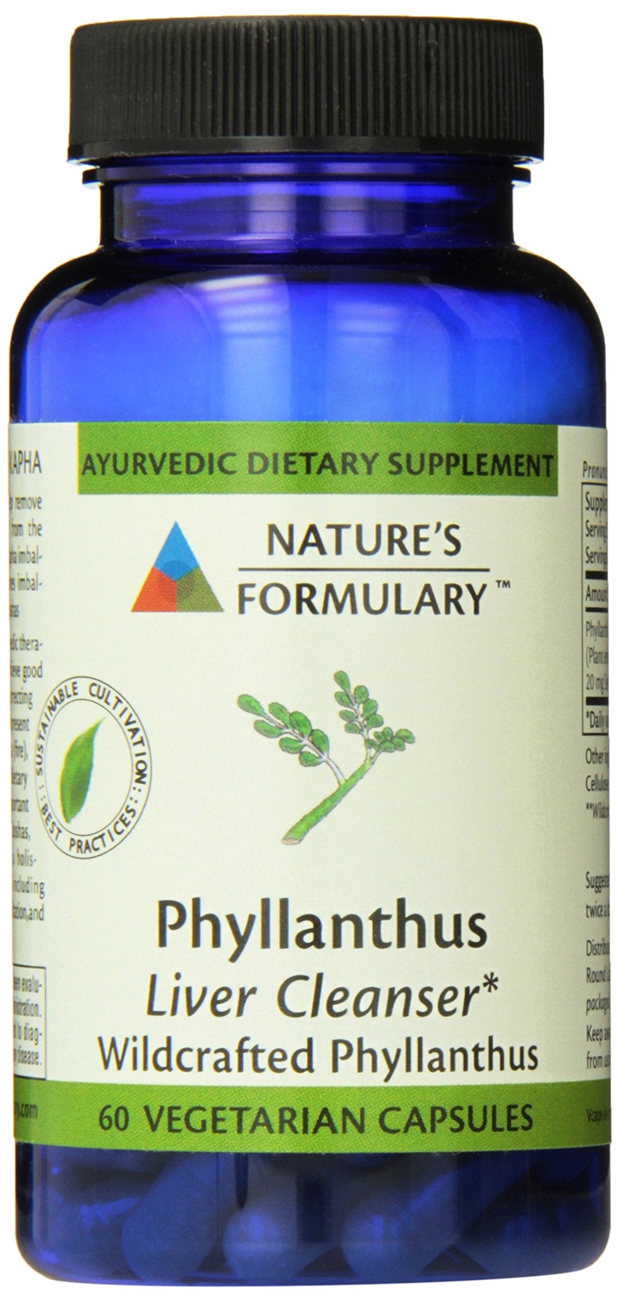 Nature's Formulary Phyllanthus Capsules 60