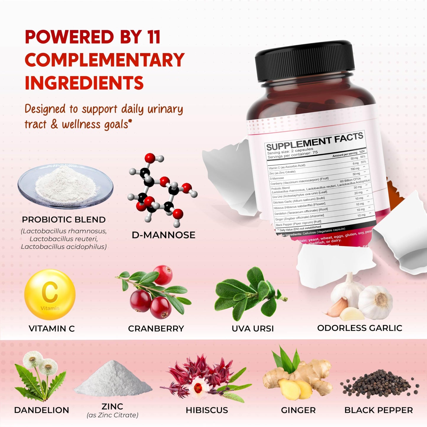 PEAKPURY D-Mannose with Cranberry, Probiotics & Uva Ursi All-in-1 Urinary Tract & Bladder Health 75 Capsules