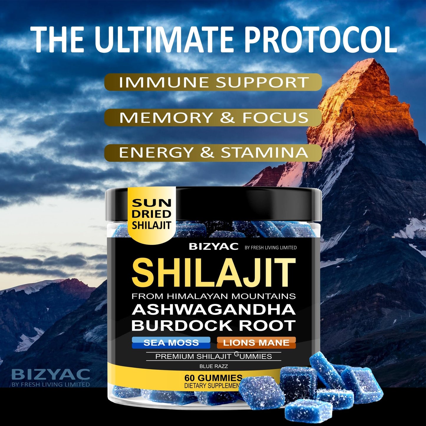 BIZYAC Shilajit Gummies, 60 Gummies