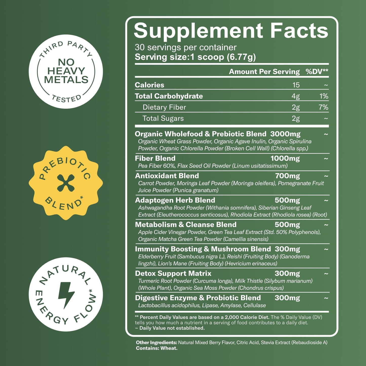 TrueSeaMoss Super Greens with Matcha for Digestive & Gut Health – 25 Superfoods with Probiotics, Prebiotics, Enzymes & Sea Moss – Vegan Powder, 7.16 oz