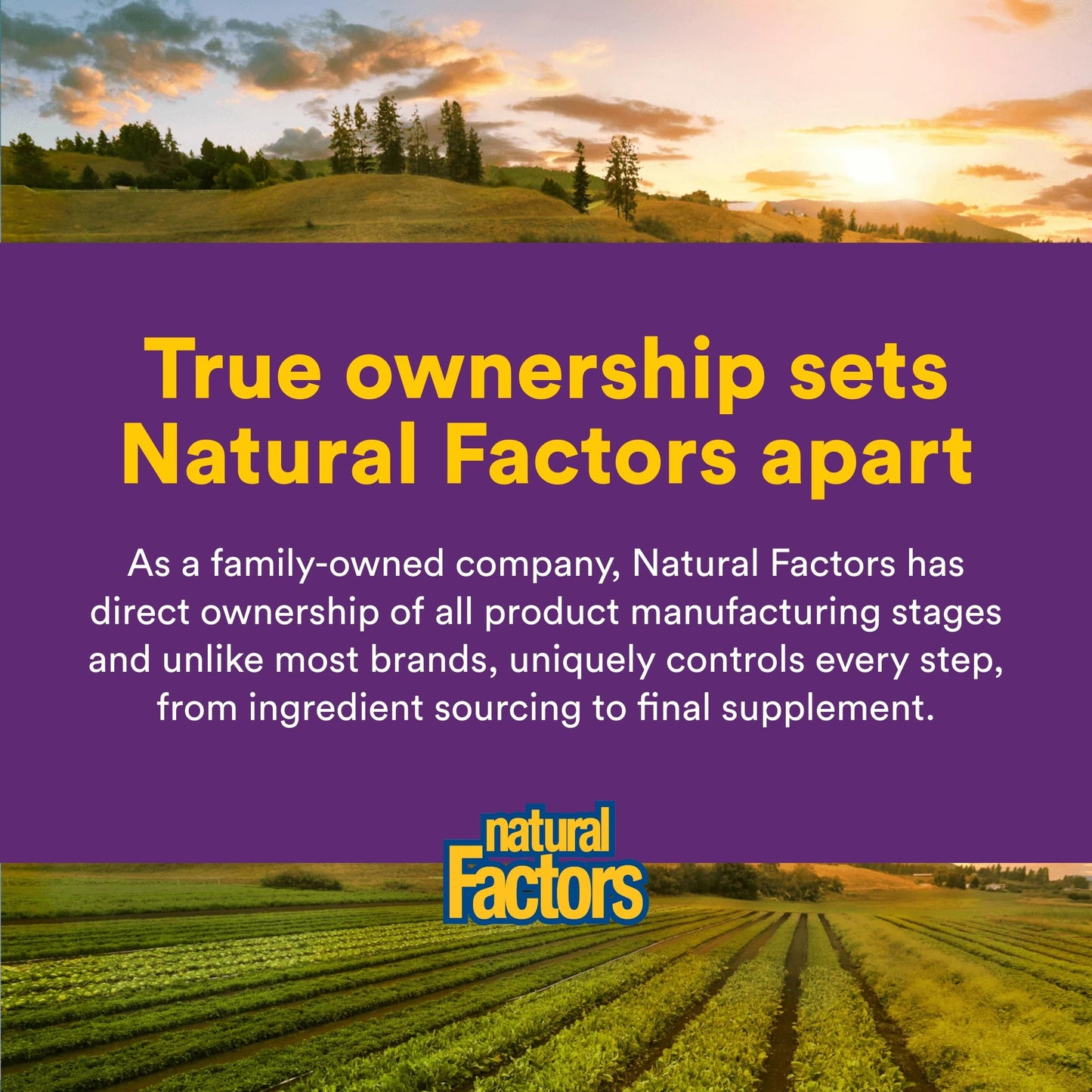 Natural Factors BlueRich Super Strength Blueberry Concentrate Softgels 90