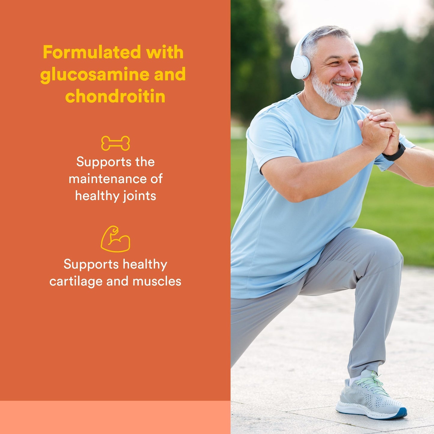 Natural Factors MSM Joint Formula Capsule, 180 Capsules