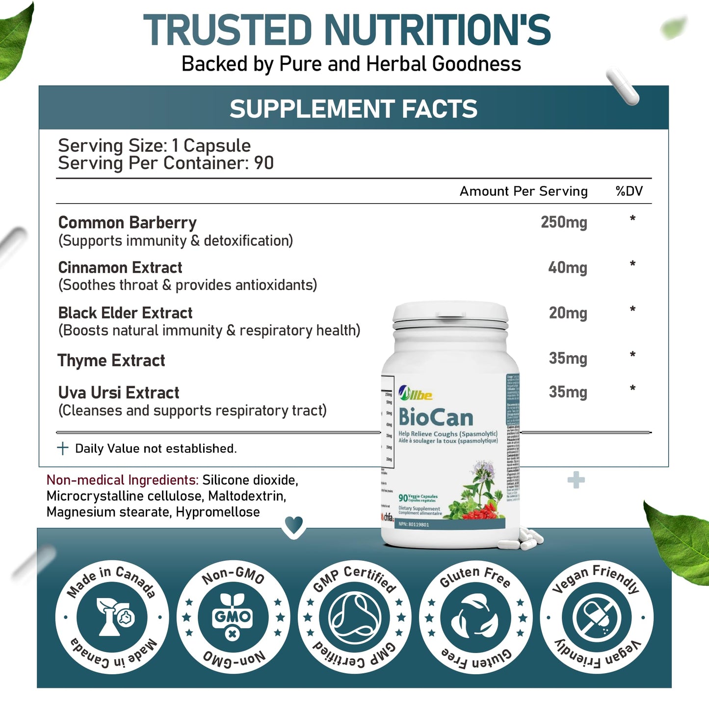 Allbe BioCan Berberine and Cinnamon Capsules, 360 Capsules
