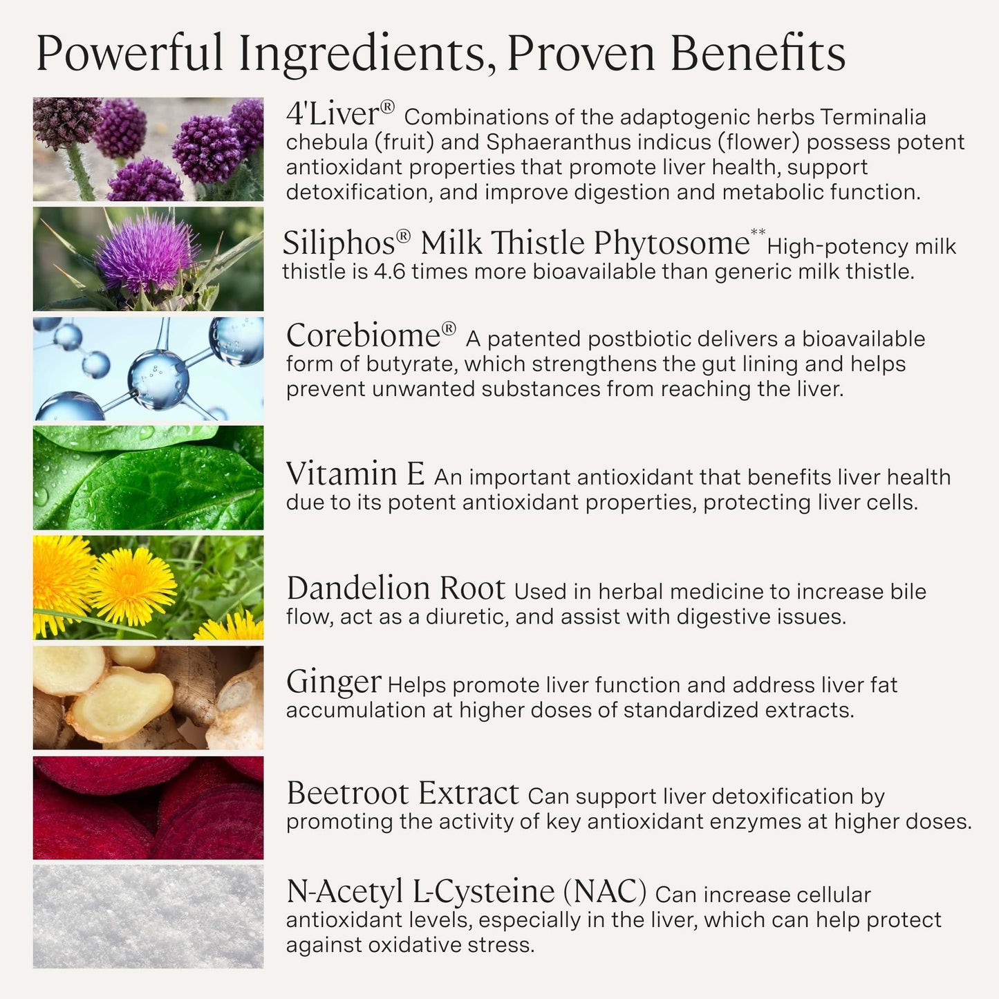 Stonehenge Health Dynamic Liver Support Siliphos® Milk Thistle+ Capsule 60 Capsules