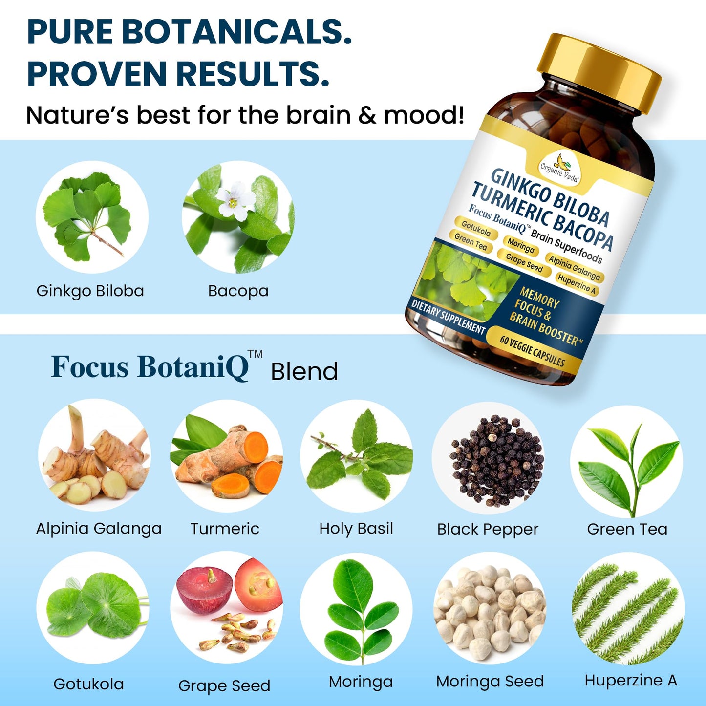 Organic Veda Ginkgo Biloba Turmeric Bacopa Brain Supplements for Memory and Focus, 60 Capsules