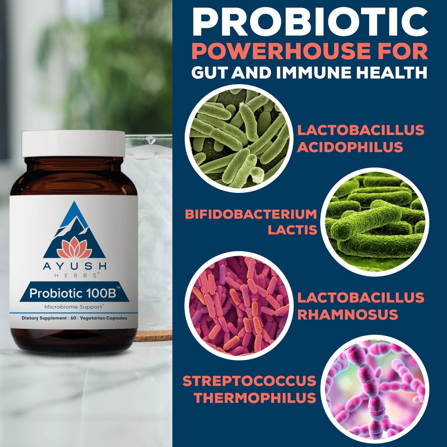 Ayush Herbs Probiotic 100B Capsule 60 Count