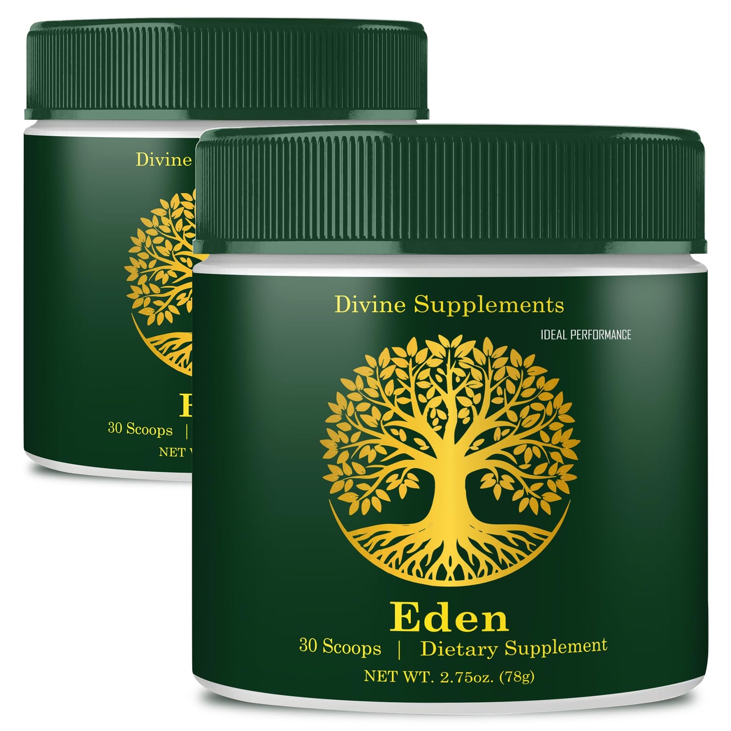 IDEAL PERFORMANCE Eden Energy Supplement Powder, 4 Pack
