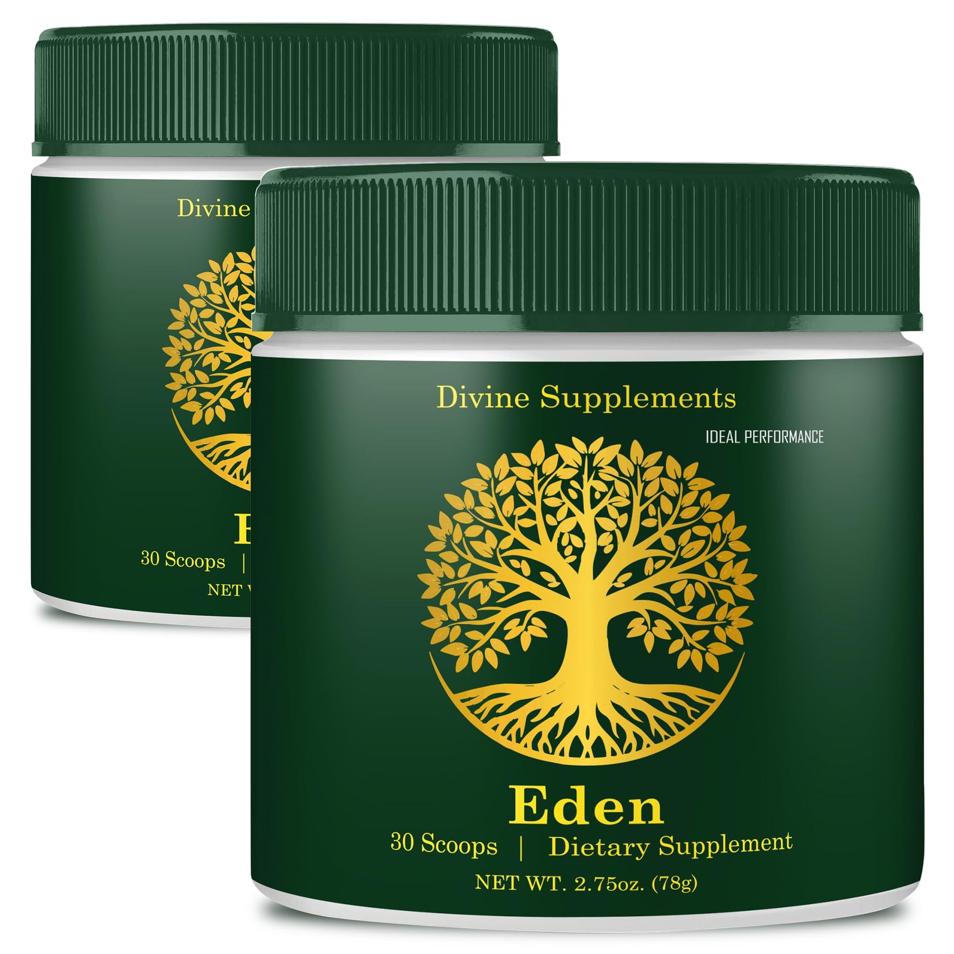IDEAL PERFORMANCE Eden Energy Supplement Powder, 4 Pack