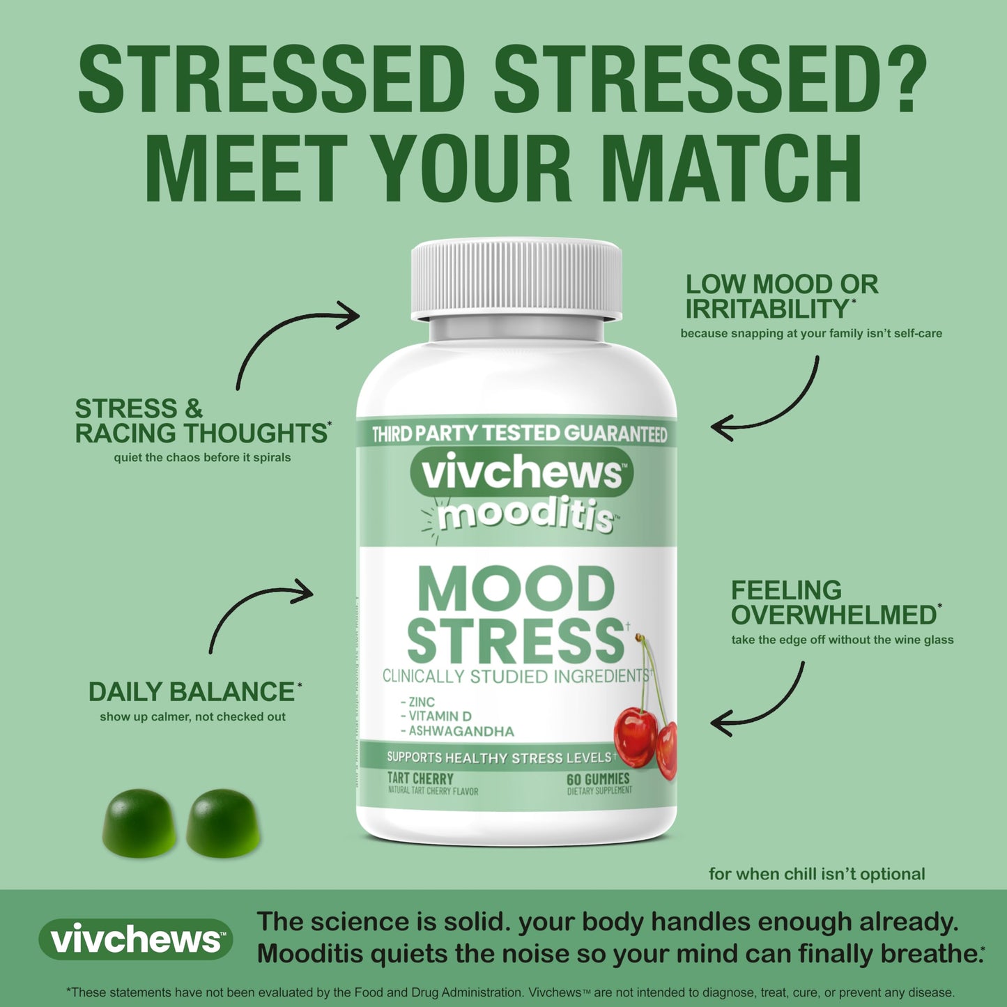 vivchews Mood & Stress Gummies – Zinc, Vitamin D & Ashwagandha for Calm & Emotional Balance, 60 Count