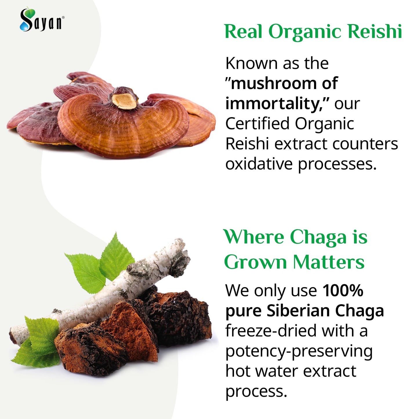Sayan Chaga and Organic Reishi Mushroom Capsules 90 Count