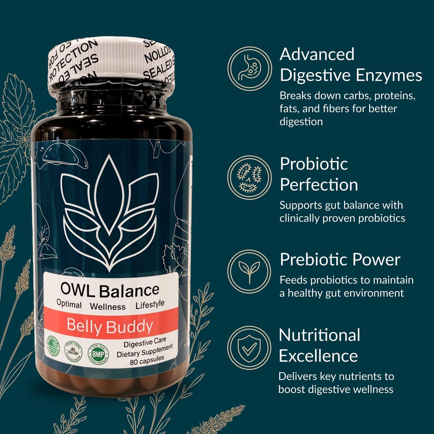 OWL Balance Belly Buddy Advanced Gut Health Support Capsule, 1 Count