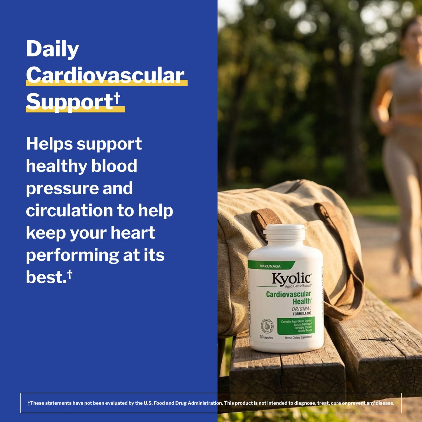Kyolic Aged Garlic Extract Formula 100 Capsule, 300 Capsules