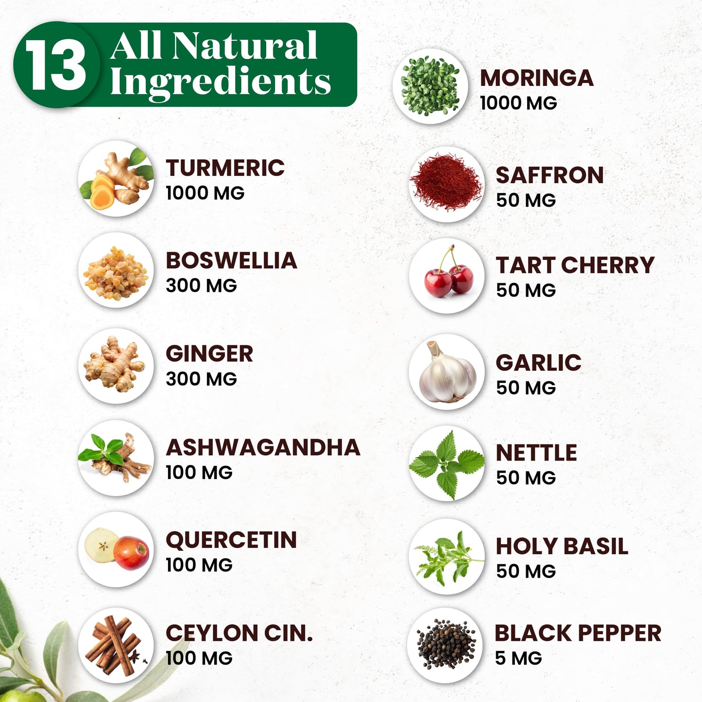 Superfood MD Moringa Supplement 120 Capsules