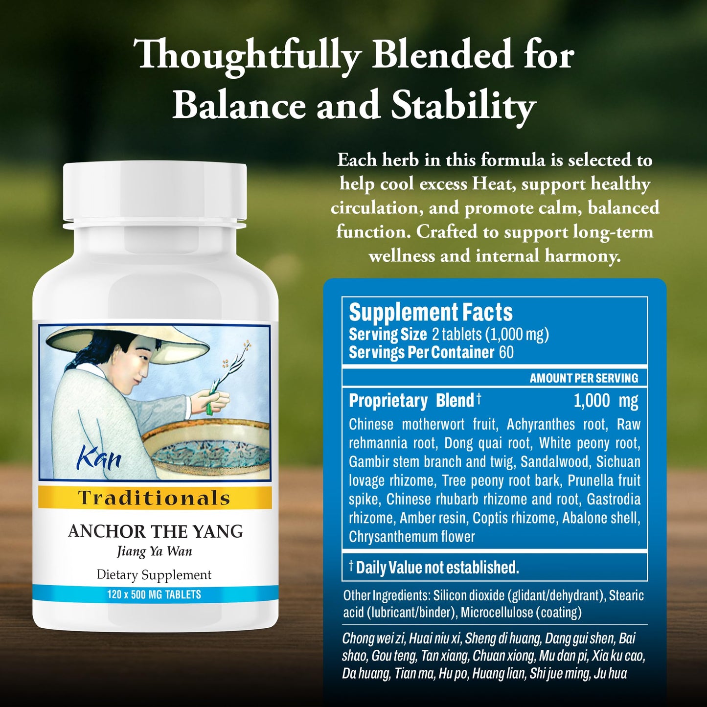 Kan Herbs - Traditionals Anchor the Yang 120 Tablets