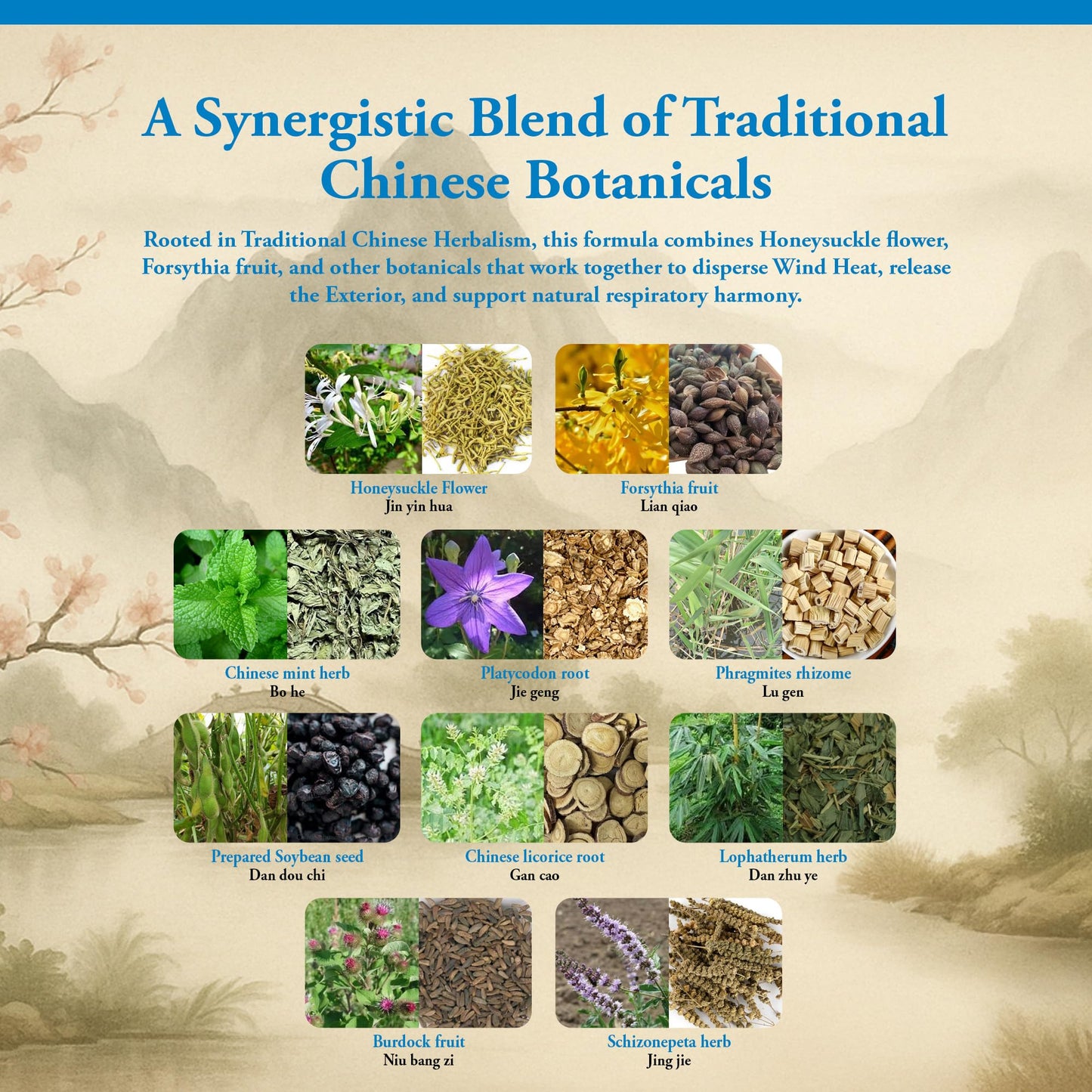 Kan Herb Yin Qiao Traditional Chinese Herbal Formula for Respiratory Support, Throat Comfort, and Seasonal Balance, Helps Release Wind Heat, Herbal Supplement, 120 Tablets