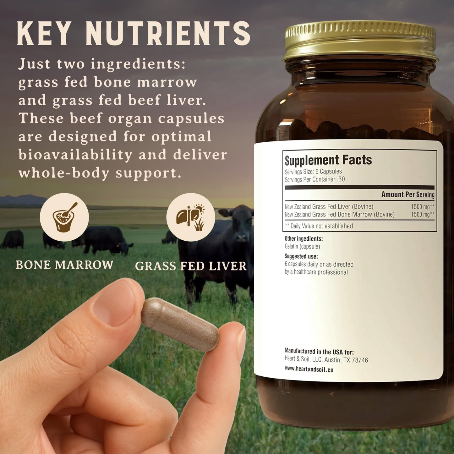 Heart & Soil Bone Marrow & Beef Liver from Regenerative Cattle – 100% Grass Fed & Finished – Multi-Vitamin & Mineral, 180 Capsules