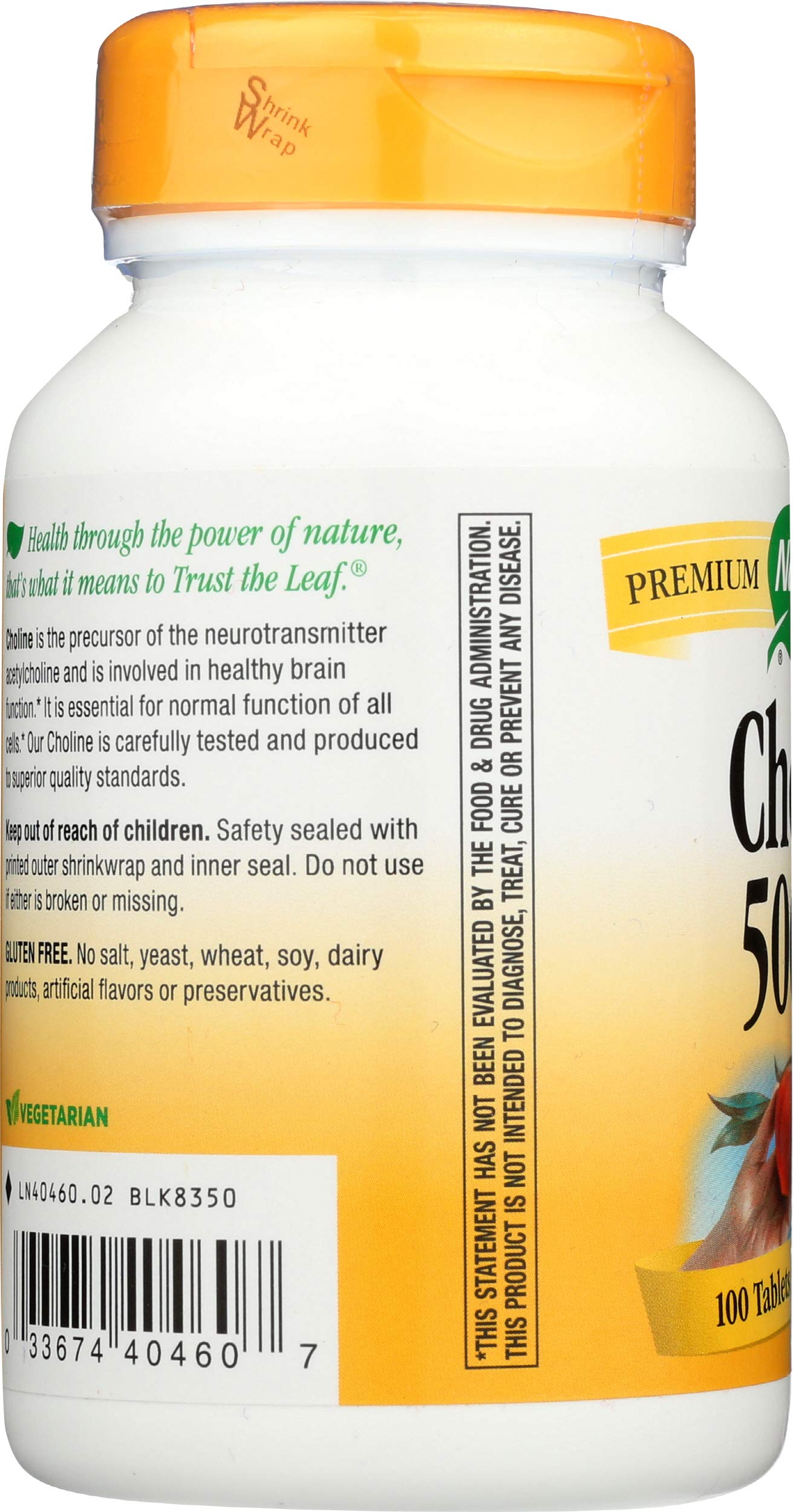 Nature's Way Choline 500mg Tablet, 100 Tablets