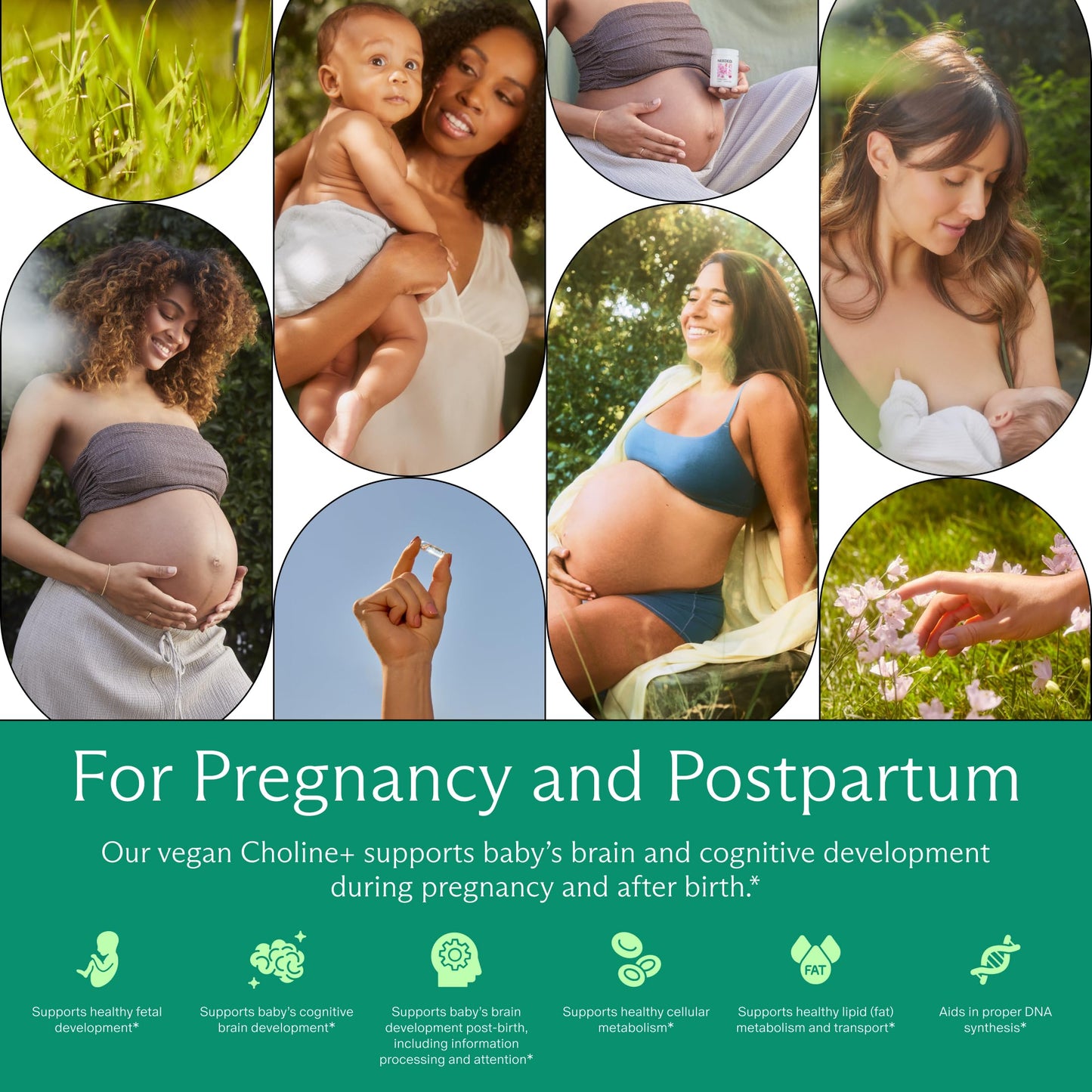 Needed Prenatal Choline+ Liquid Capsules for Cognitive Development, 30 Capsules
