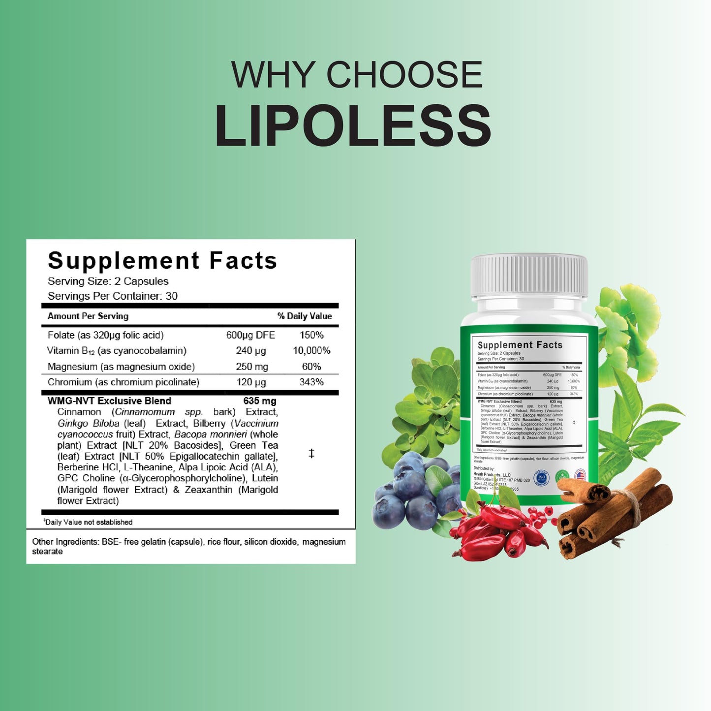 BLUE VIBE Lipoless Pro Capsules Lipoless Advanced Maximum Strength Overall Health & Wellness Support Supplement Lipoless Premium All Natural Daily Health Support Formula, 120 Capsules