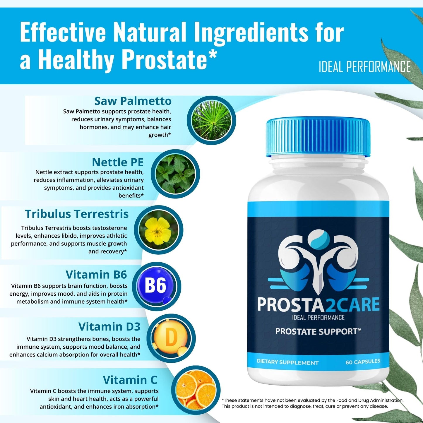 IDEAL PERFORMANCE Prosta2Care for Men Prostate Health Supplement 180 Capsules