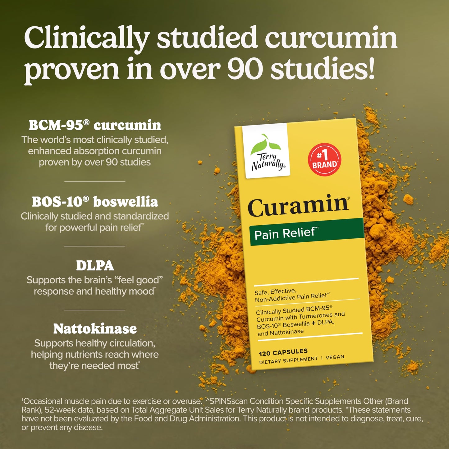 Terry Naturally Curamin Curcumin Supplement for Circulation & Endorphin Support Capsules 120 Count
