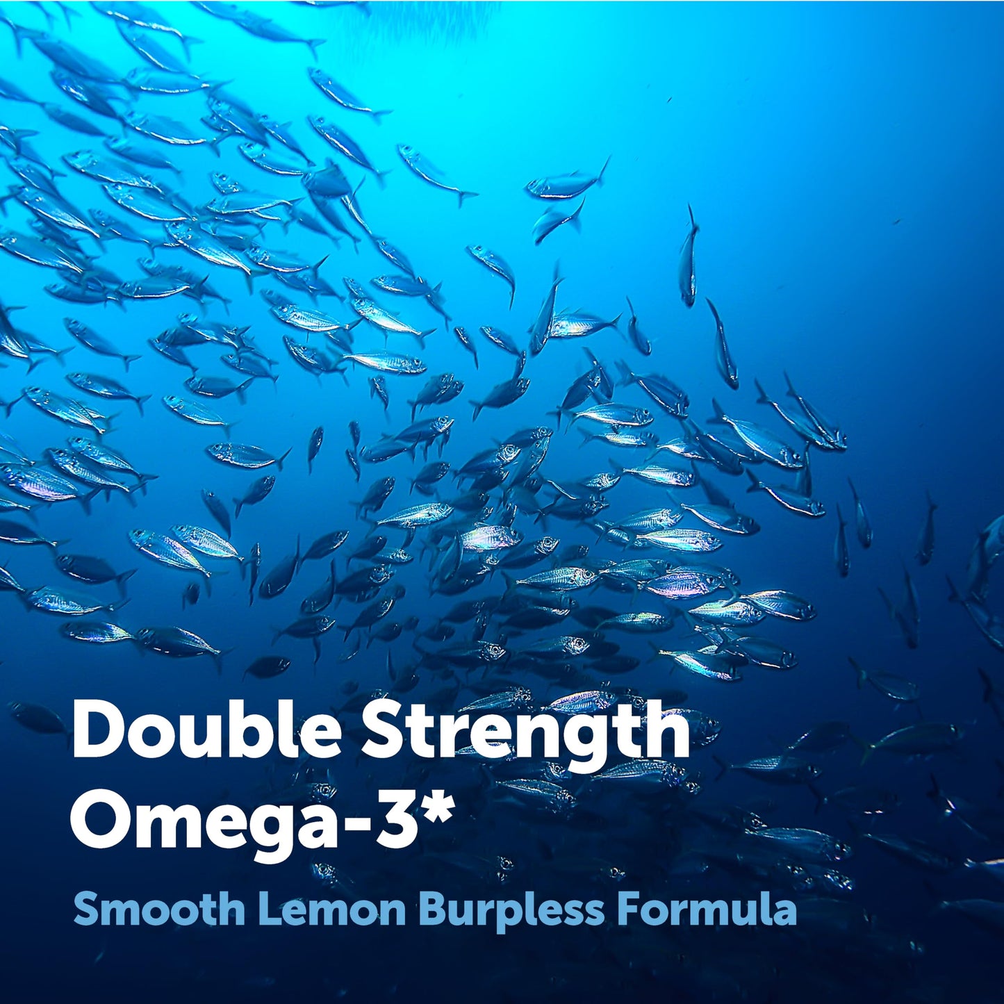Micro Ingredients Omega-3 Fish Oil Supplements Softgels 240 Count