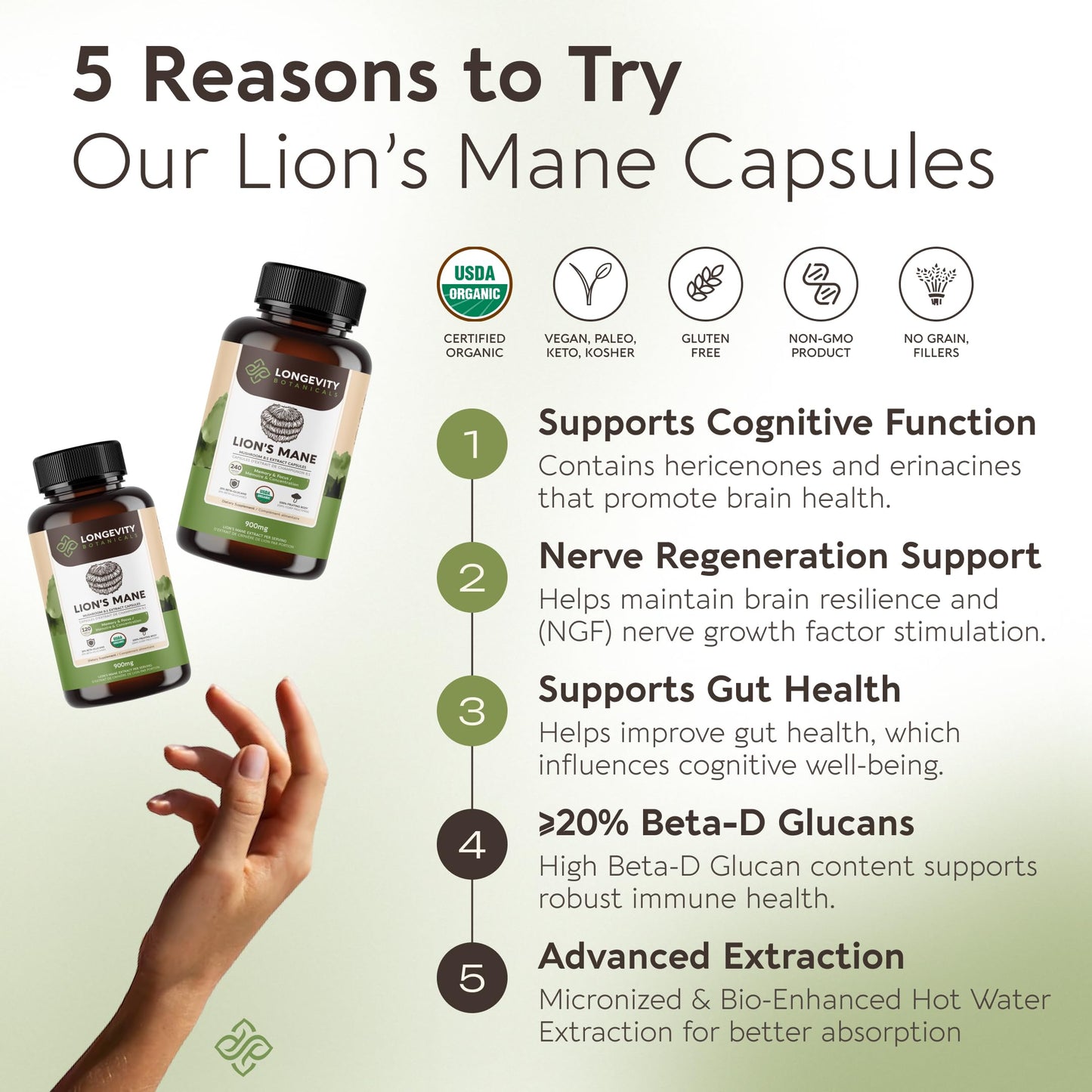 Longevity Botanicals Organic Lion's Mane Mushroom Capsules, 120 Count