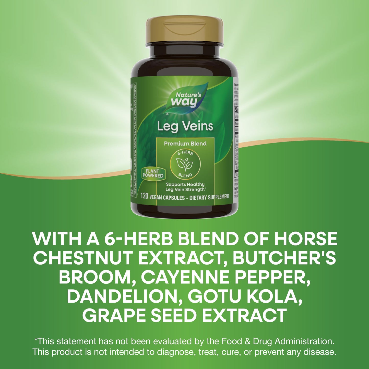 Nature's Way Leg Veins Support Blend with Tru-OPCSTM, Vegetarian Capsules 120 Count