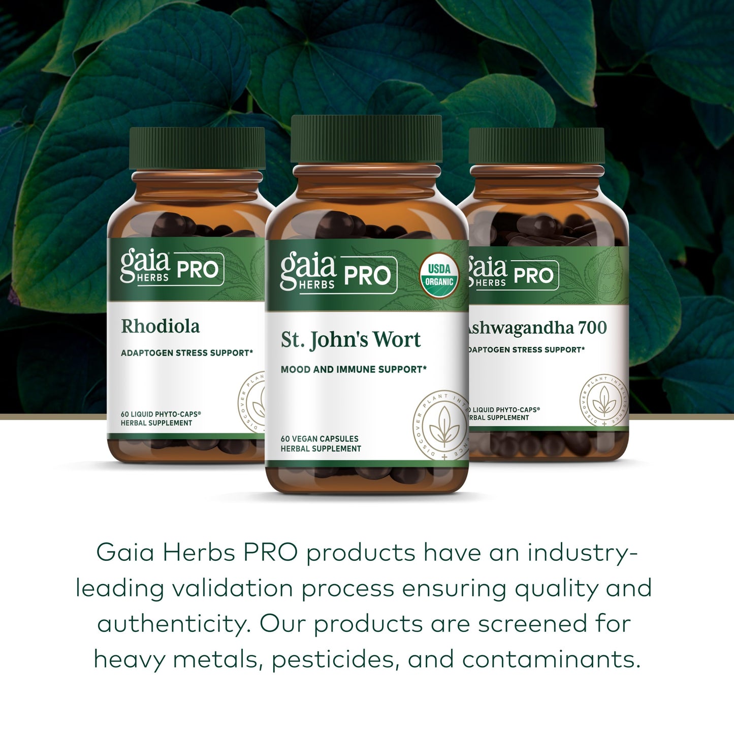 Gaia Herbs PRO St. John's Wort Capsules 60 Count