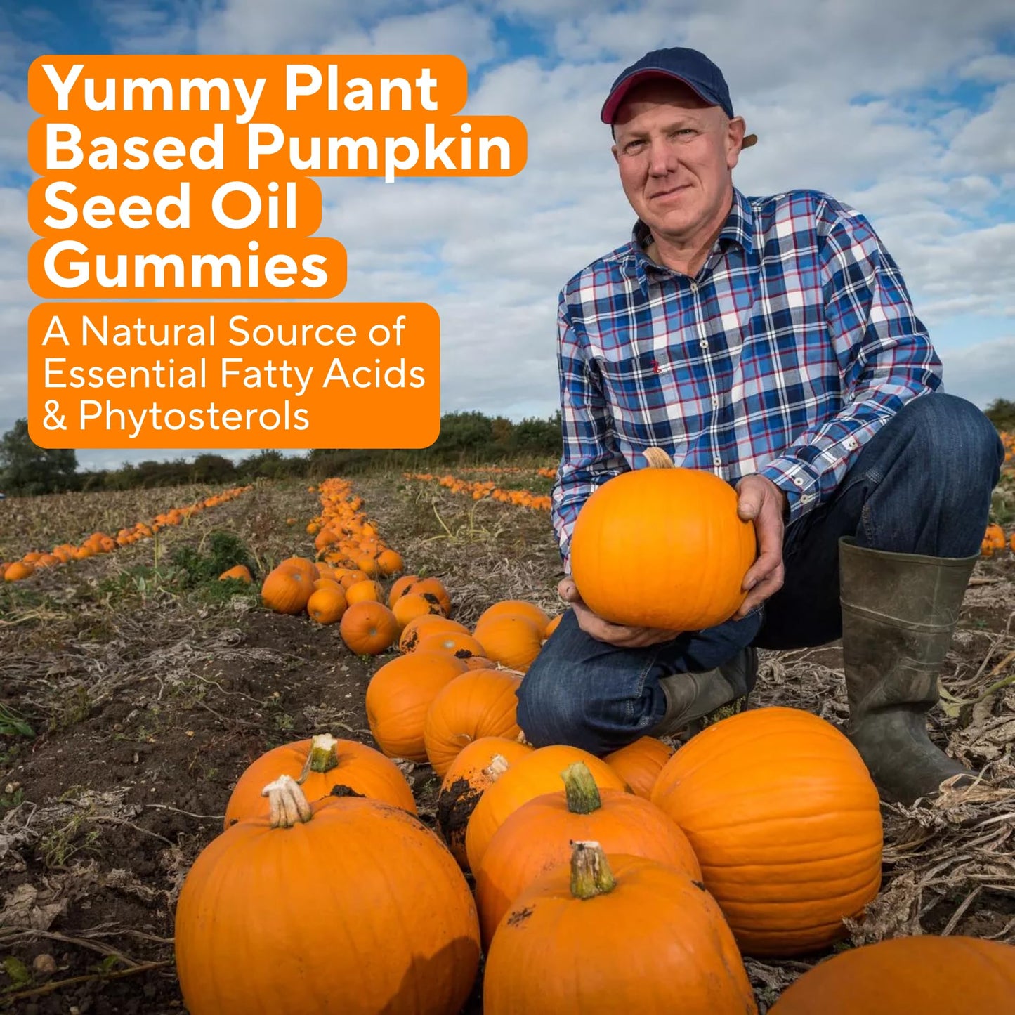 Power Grain Sugar-Free Pumpkin Seed Gummies Gummy 1 Count