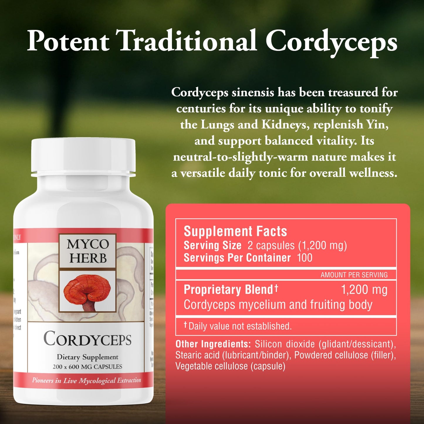 Kan Herbs Cordyceps Full-Spectrum Extract Tablet 120 Tablets
