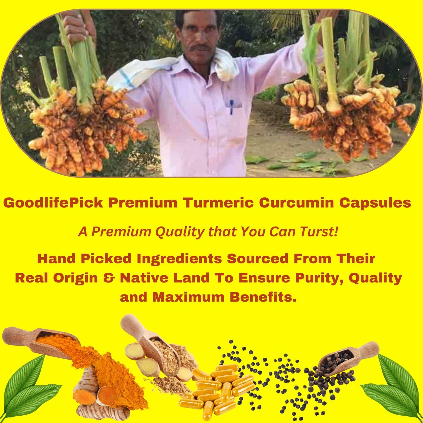 GoodlifePick Premium Turmeric Curcumin Capsule with Black Pepper, 95% Curcuminoids, Enhanced Absorption, 1 Capsule