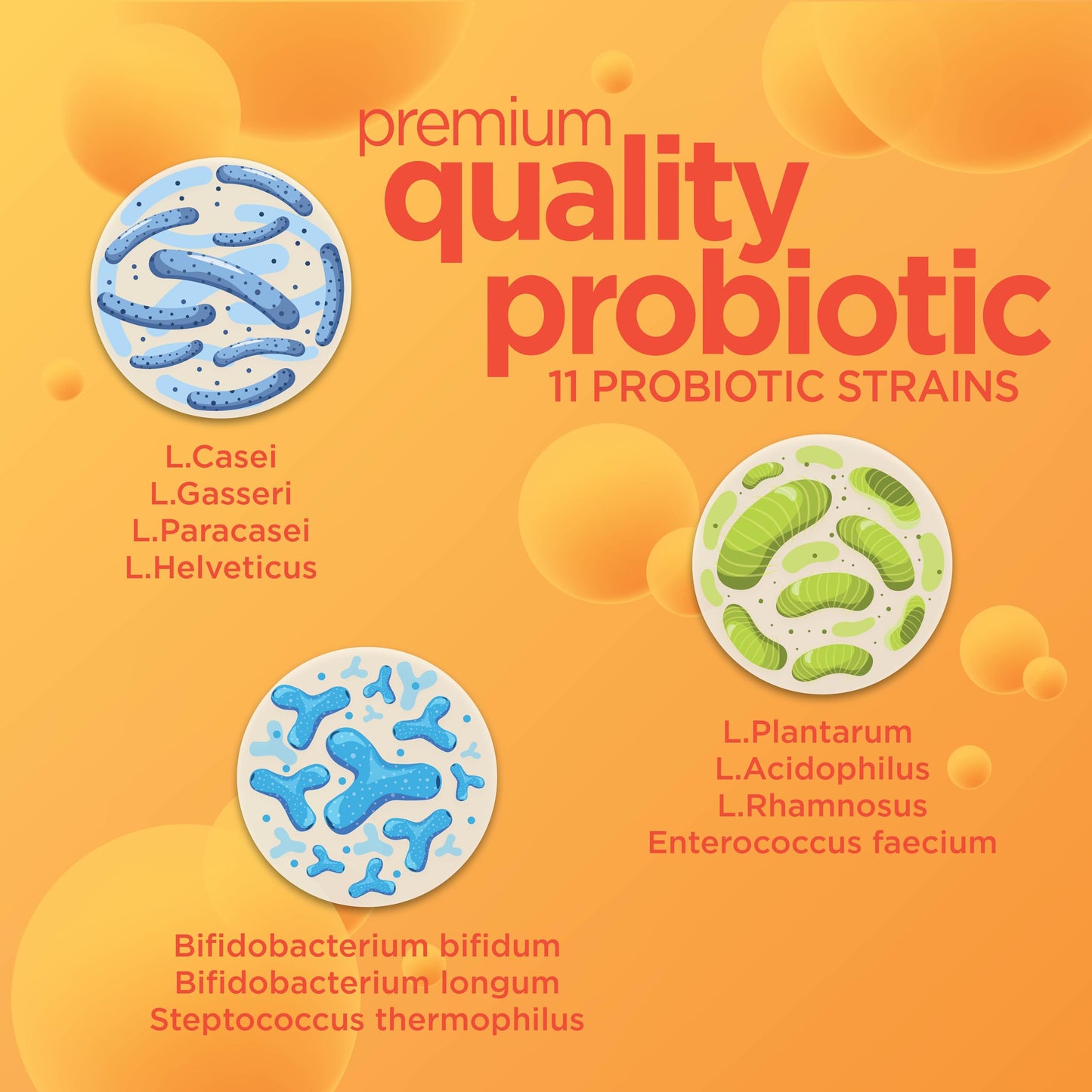 Gut Response Probiotic Chewable 30 Tablets