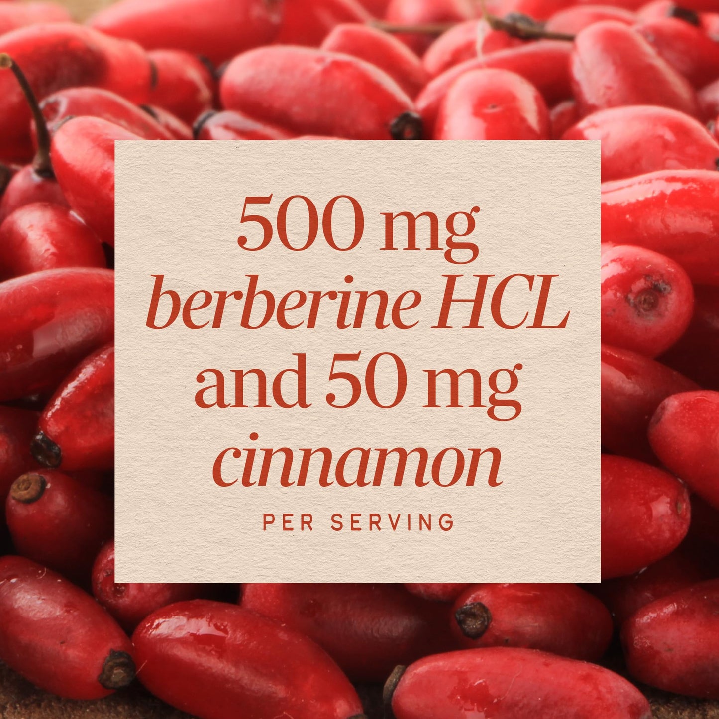 Nature's Way Berberine with Cinnamon 500 mg Berberine HCl Capsule, 60 Capsules