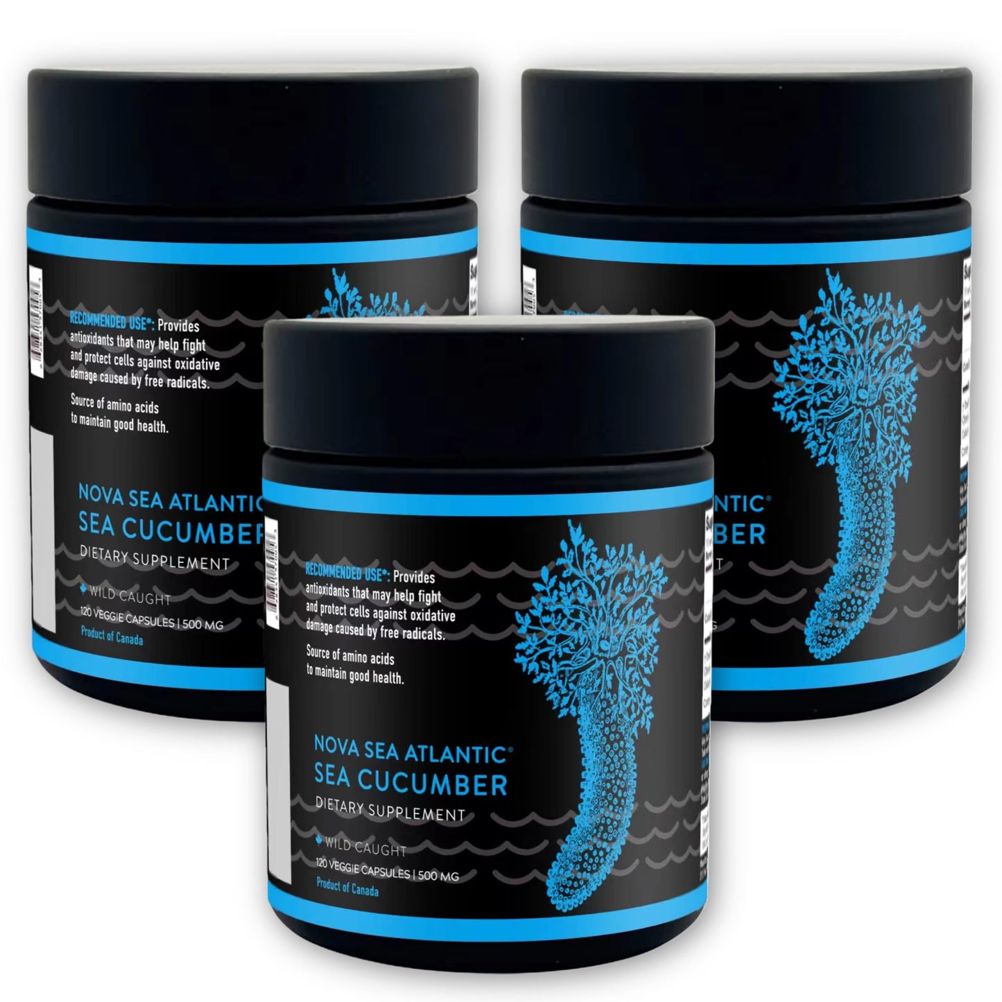 Nova Sea Atlantic Sea Cucumber Supplement 360 Capsules