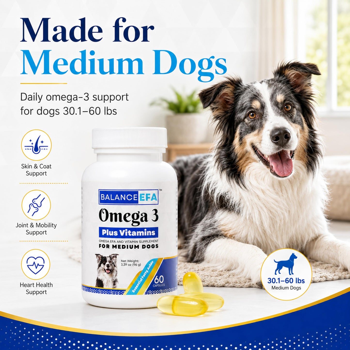 Mizner Bioscience BalanceEFA Omega 3 Fish Oil for Dogs, Skin & Coat Capsules, 60 Ct