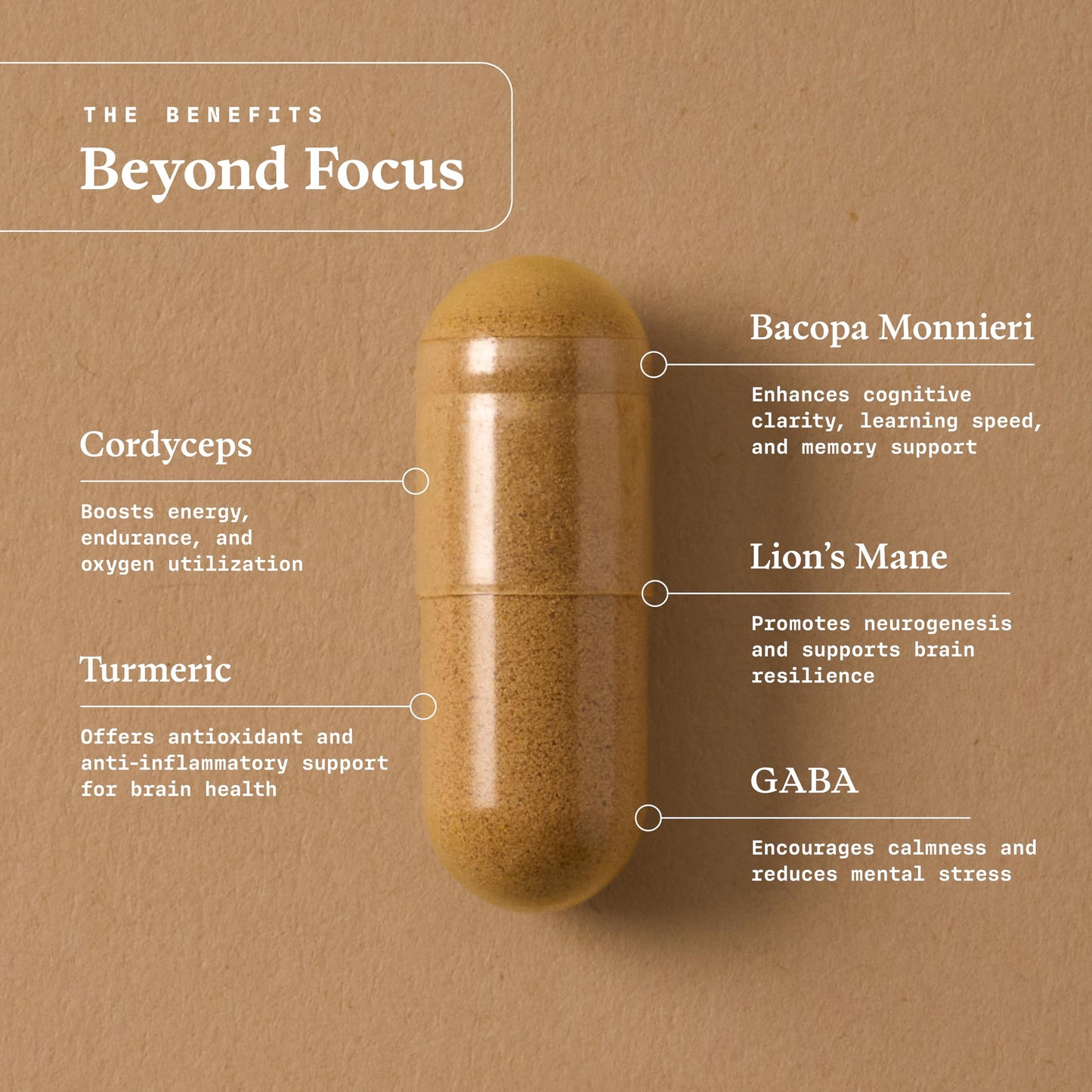 Ultra Life Sport Beyond Focus Organic Mushroom Supplement Capsule 30