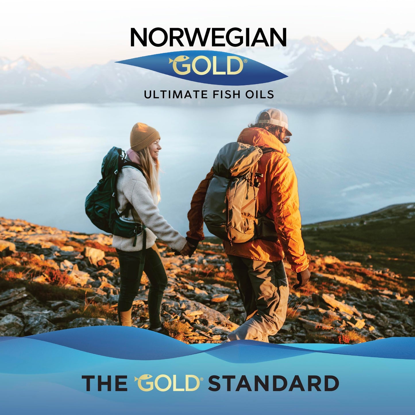 Renew Life Norwegian Gold Critical Omega Omega-3 Fish Oil Softgels 60 Count