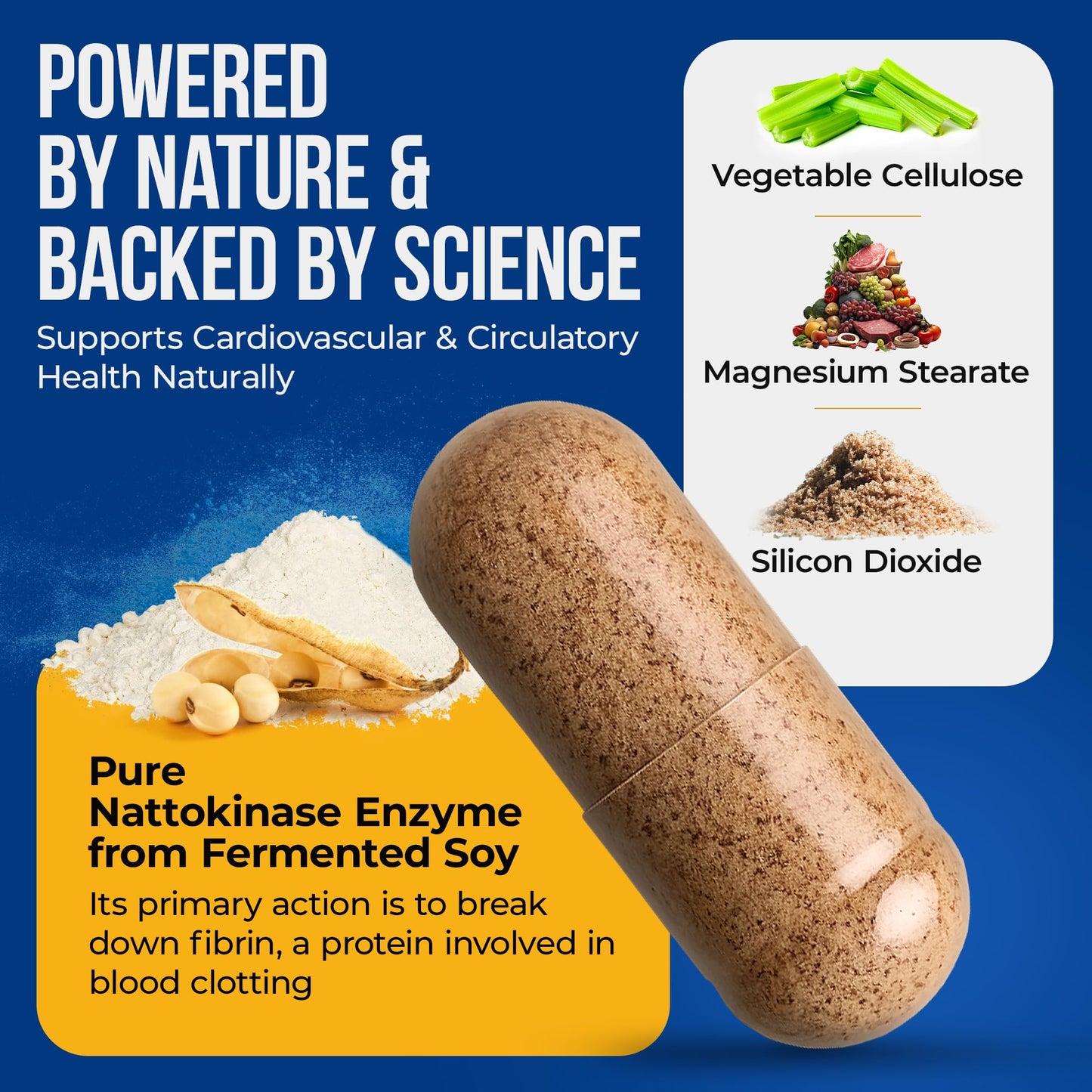 Nature's Nectar Organic Nattokinase Supplement 250mg – Double Strength 5000 FU, 90 Capsules