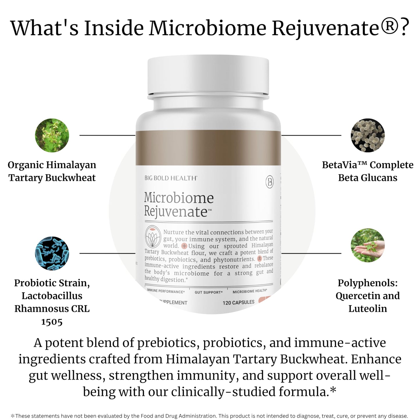 BIG BOLD HEALTH Microbiome Rejuvenate Prebiotic + Probiotic Supplement for Gut Health & Immune Support with Himalayan Tartary Buckwheat Gluten-Free Capsules, 120