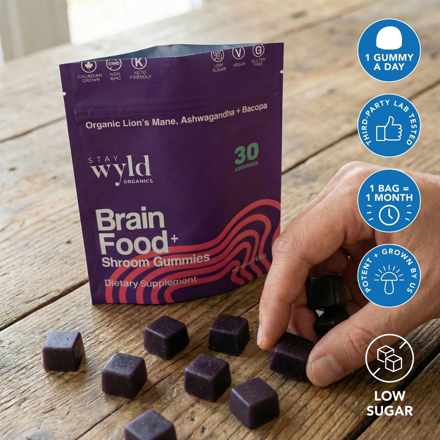 Stay Wyld Organics Brain Food+ Mushroom Gummies, 30 Gummies