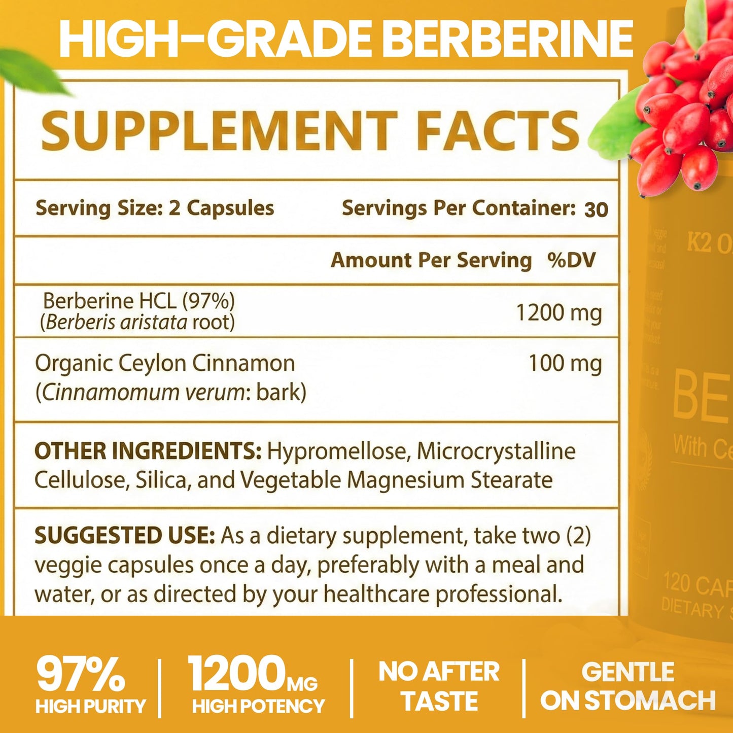 K2 Organics Berberine with Ceylon Cinnamon 1200mg Capsule, 60 Count