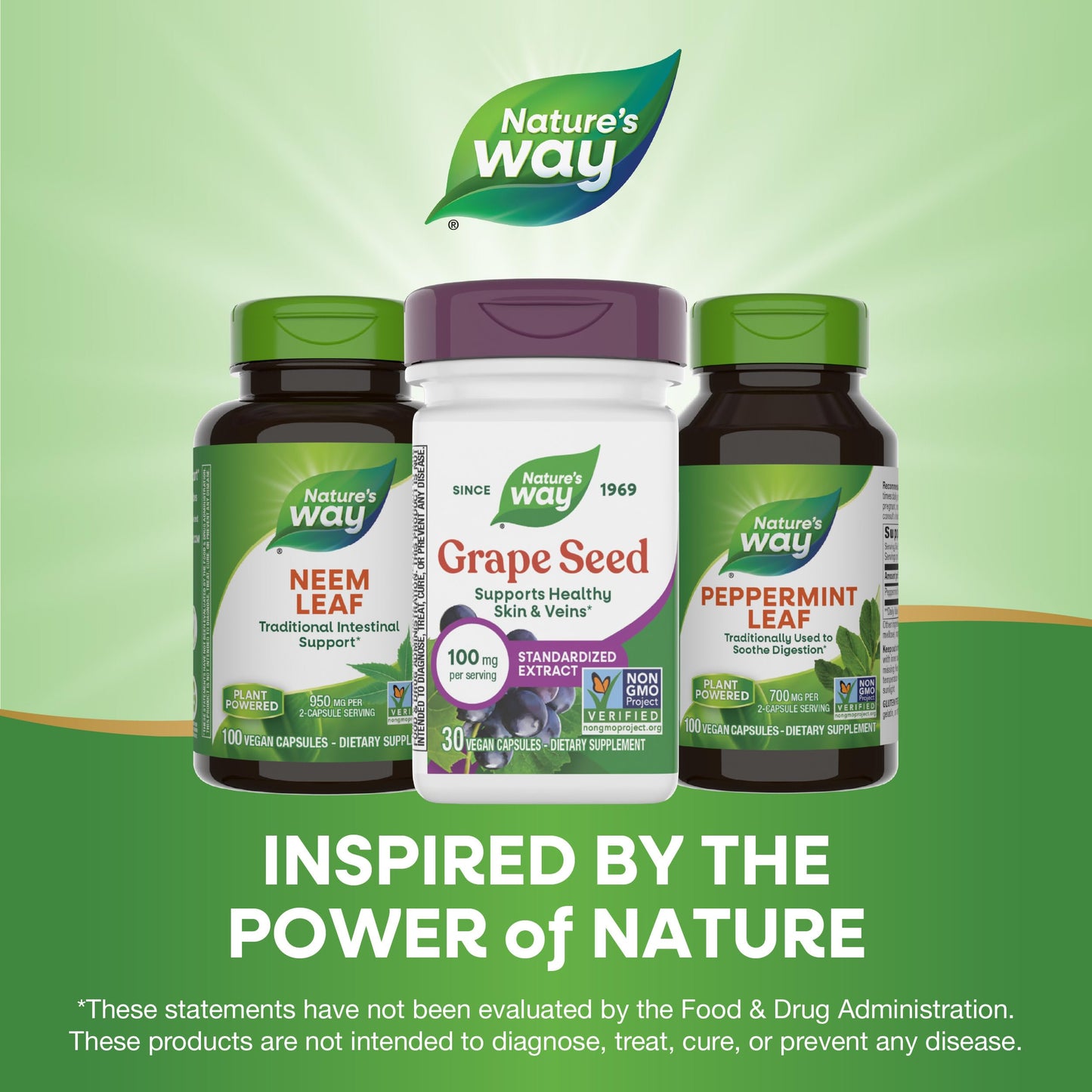 Nature's Way Grape Seed Standardized Extract Capsules, 30 Count