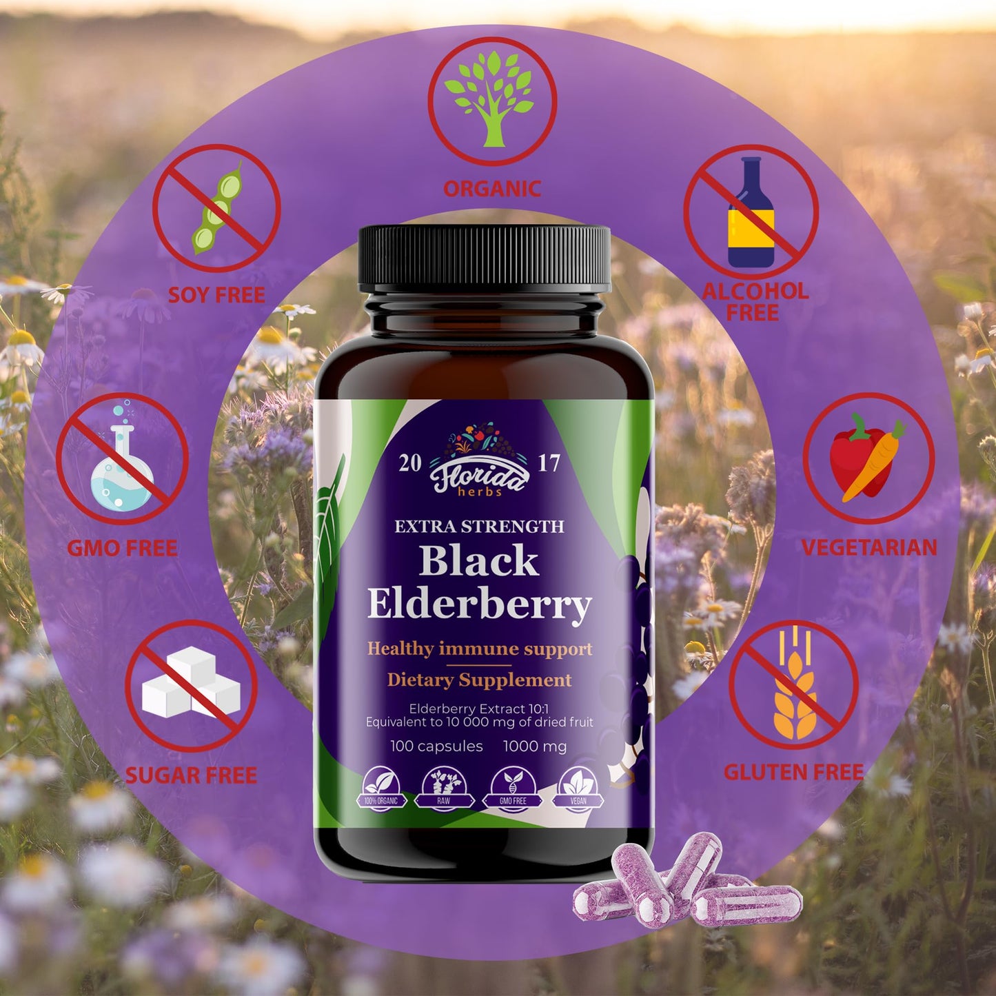 Florida Herbs Black Elderberry Capsules 100 Capsules