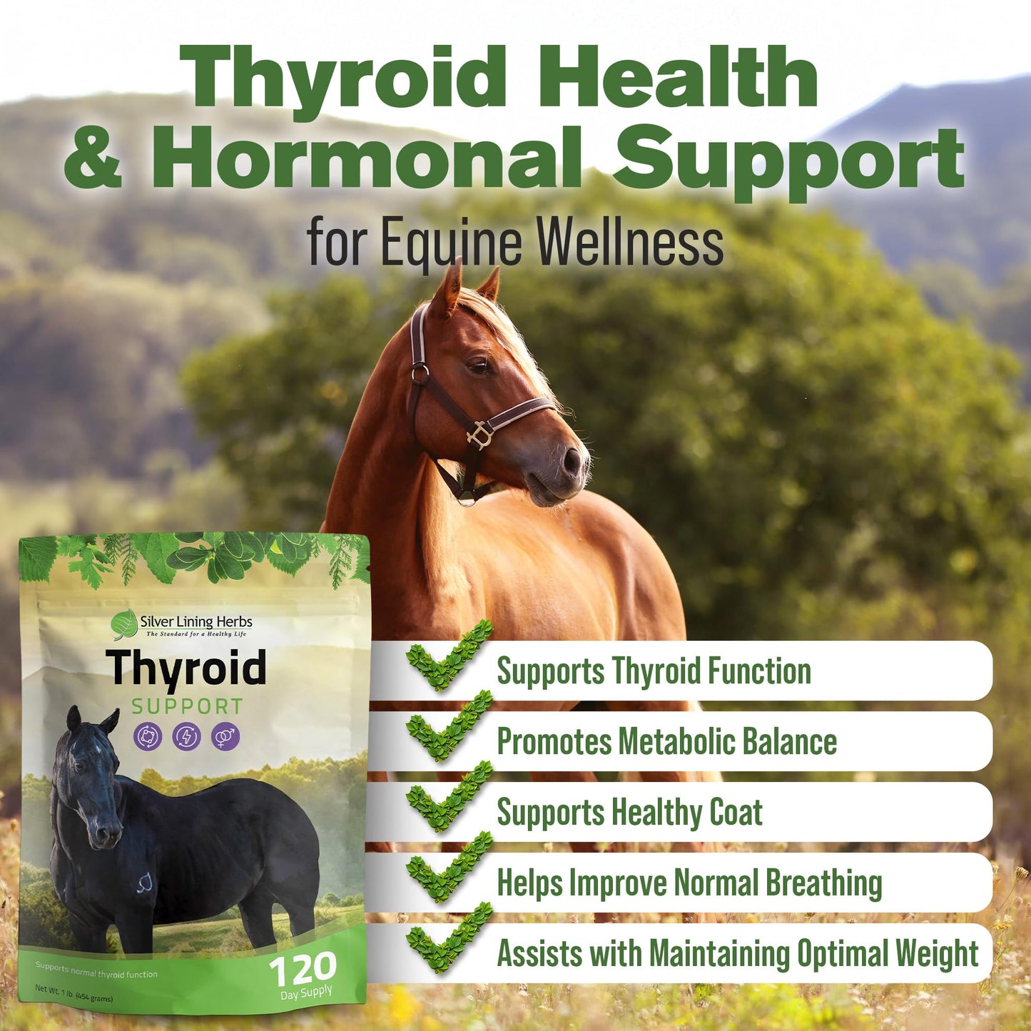 Silver Lining Herbs Thyroid Support for Horses Powder, 1 Unit